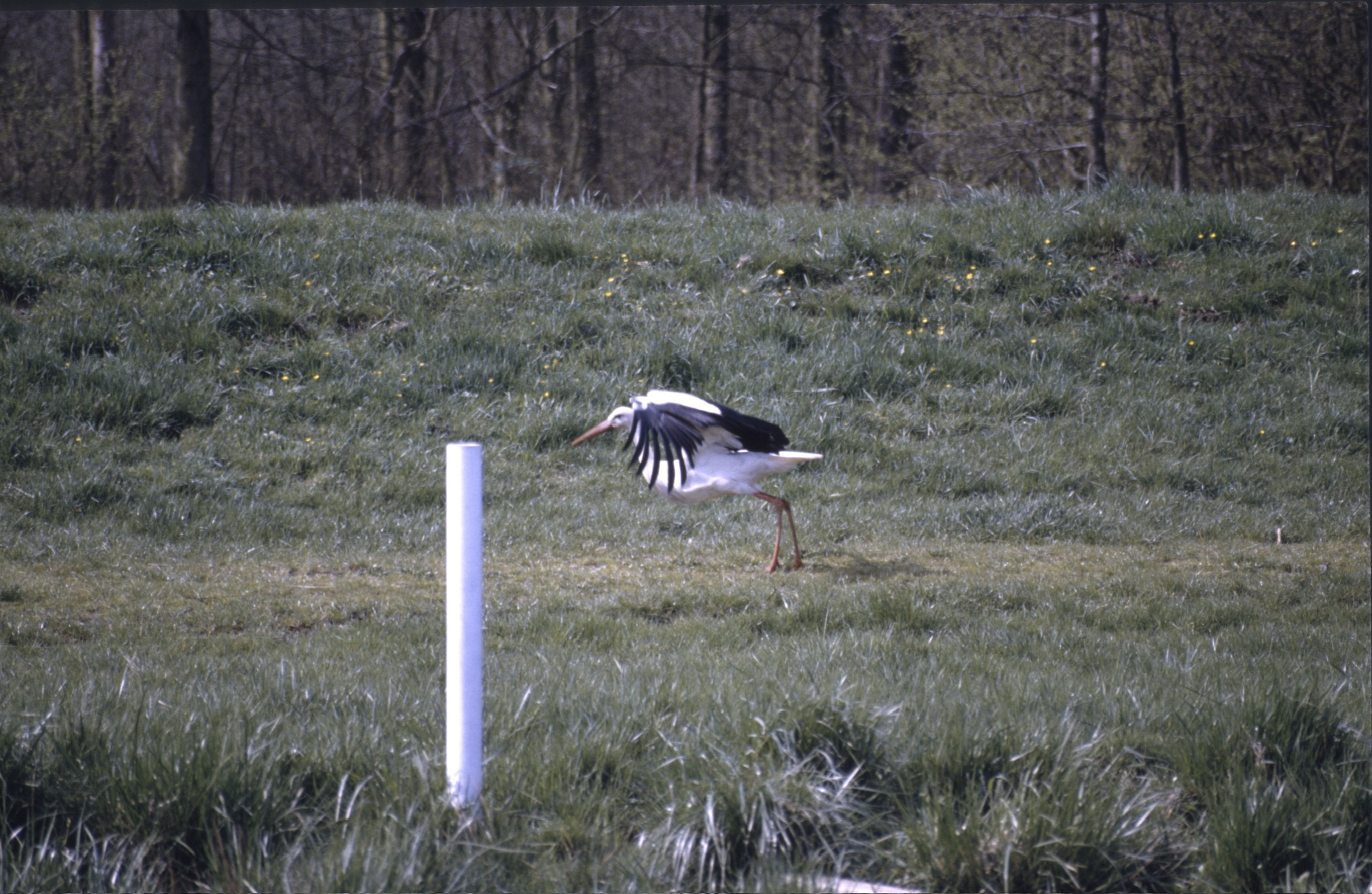 F9F1CBB8 7F3E 440E AF1F EDEFAF6449662020 02 25 1050