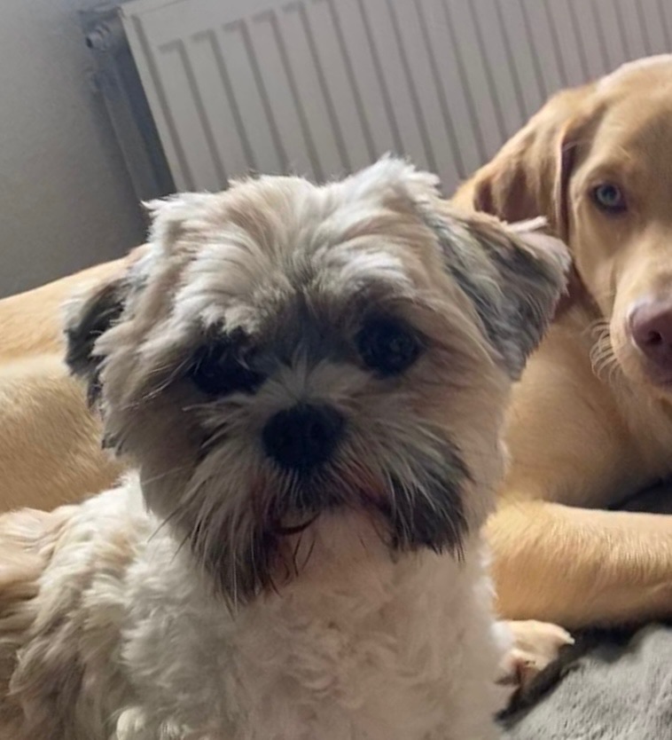 A495f392 6f7a 4884 8c26 ee2e07abd0bb