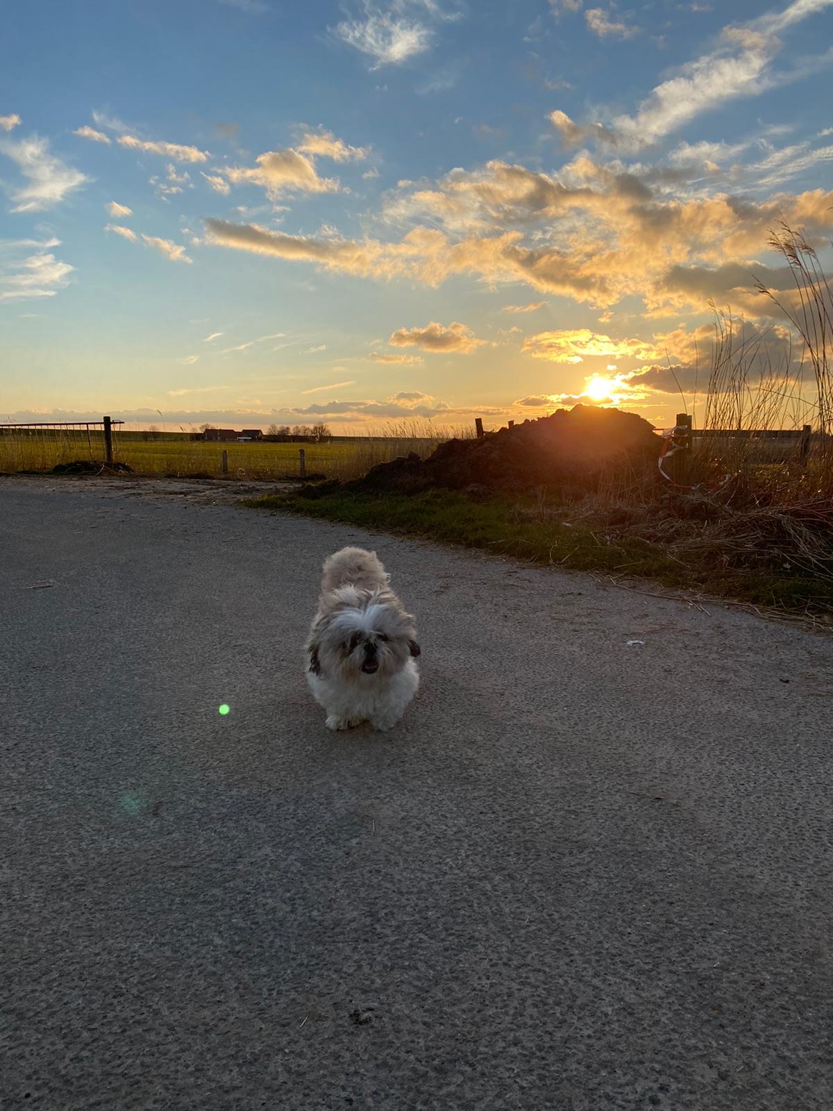 C5de0056 aa04 44de 8214 bbb7df4dc339