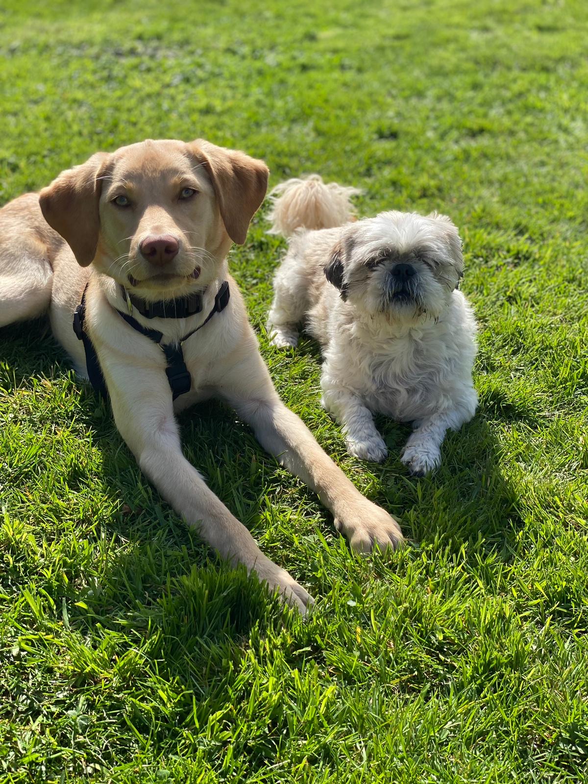 D27736c2 10be 4199 adc6 604cd69b1bef