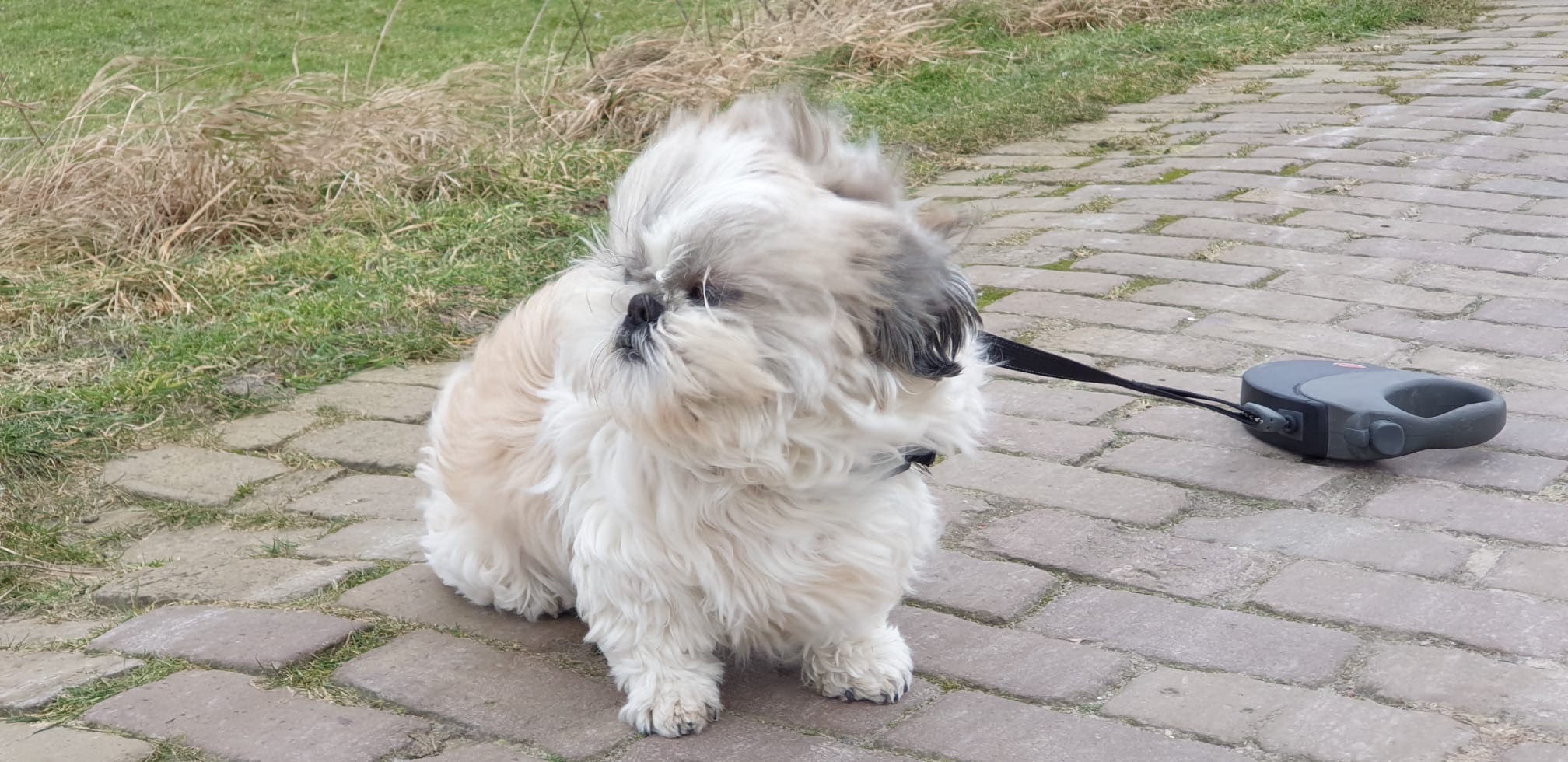 Fae93183 6232 488a b7c6 3b110393a5ec